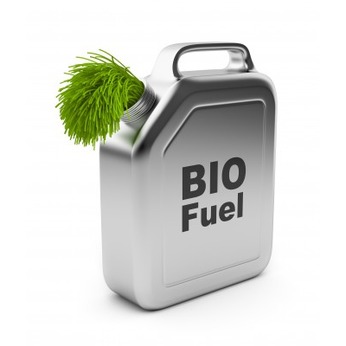 Overovanie biopalív